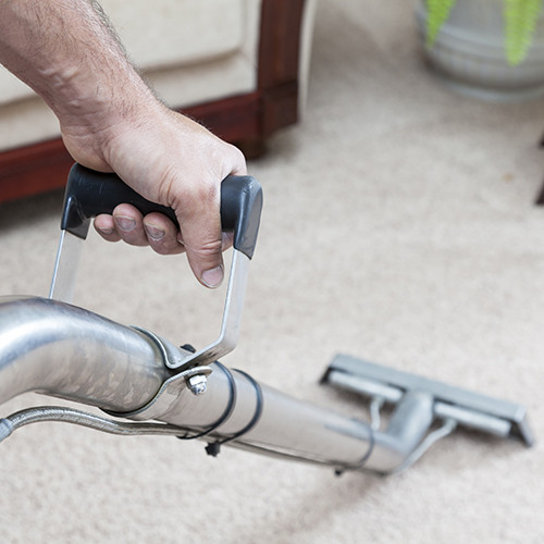 Image for Tacoma Carpet Cleaning