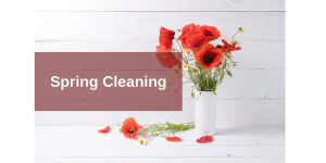 Image for post Introducing the Spring-Cleaning Package for Indoor Air Quality